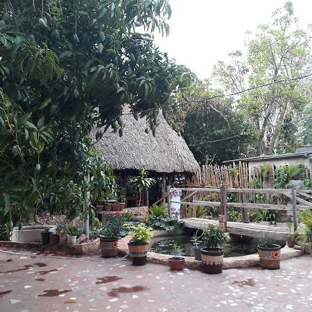לינה וארוחת בוקר Santa Elena El Chac Mool מראה חיצוני תמונה