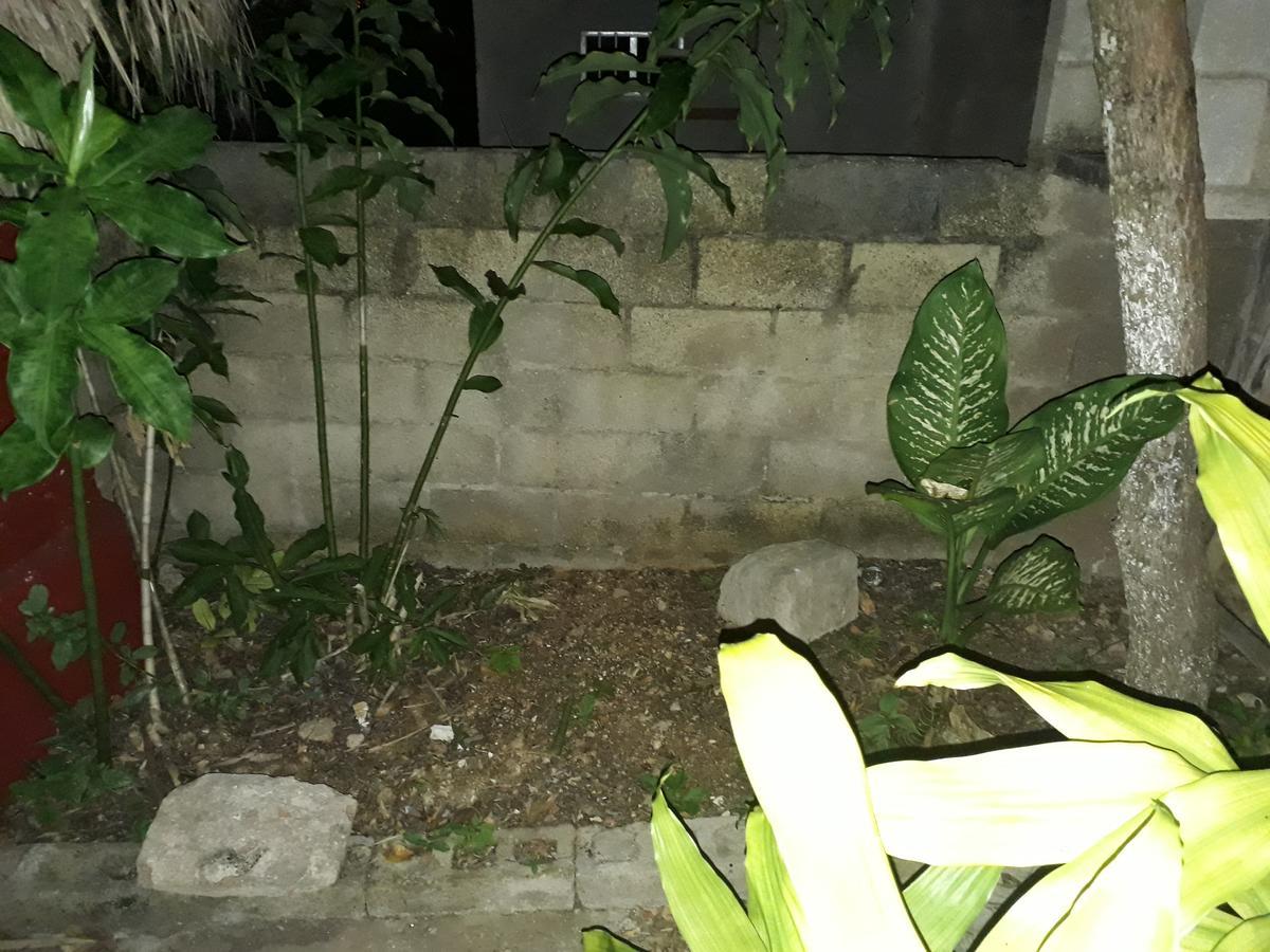לינה וארוחת בוקר Santa Elena El Chac Mool מראה חיצוני תמונה
