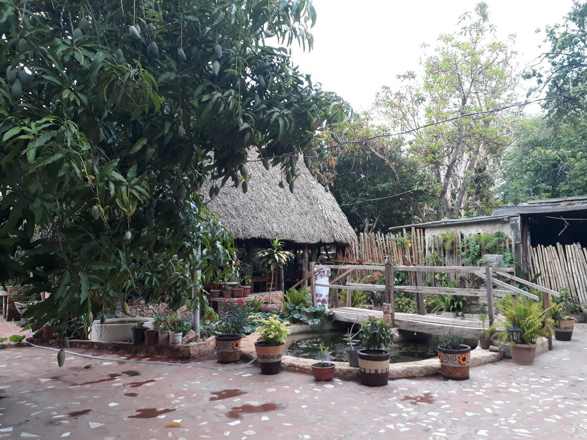 לינה וארוחת בוקר Santa Elena El Chac Mool מראה חיצוני תמונה